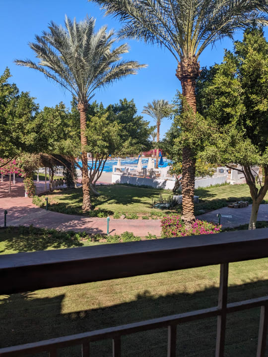 Ausblick Desert Rose