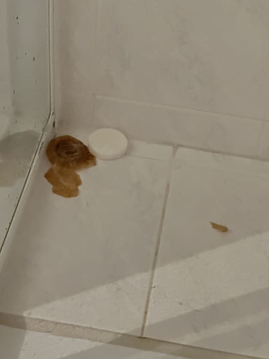 Zimmer Possidi Holidays Resort & Suite Hotel