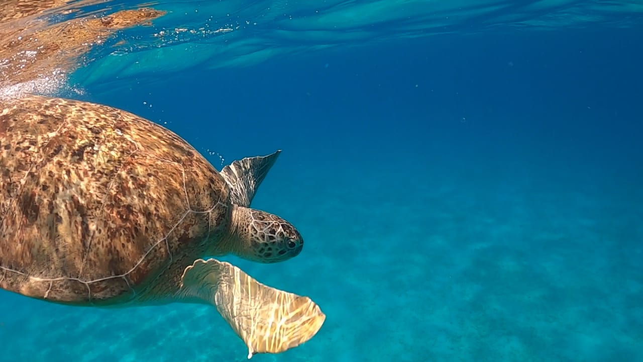 Sonstiges Lazuli Hotel Marsa Alam