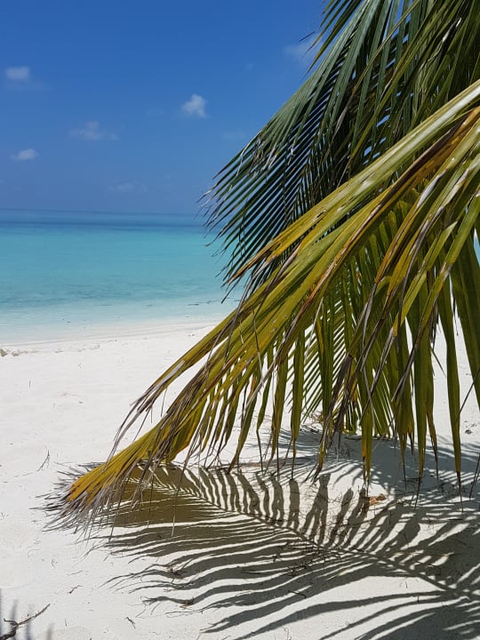 Strand Summer Island Maldives