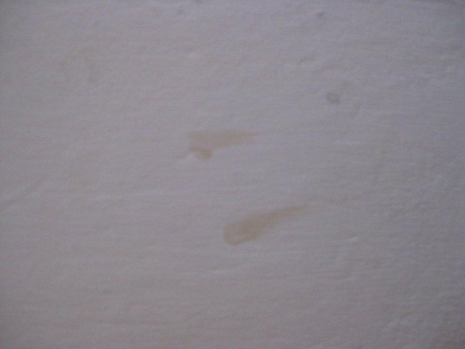 Wand Berghotel Dachstein