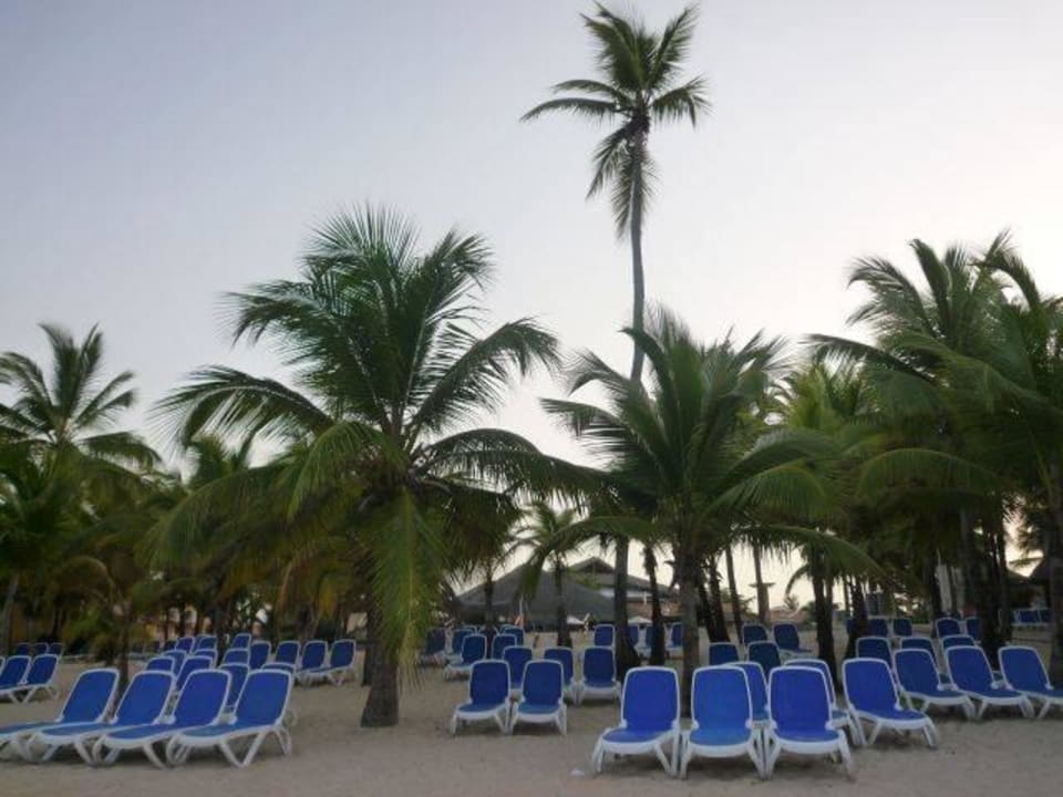 Am Morgen Hotel Viva Dominicus Palace by Wyndham-All Inclusive Resort