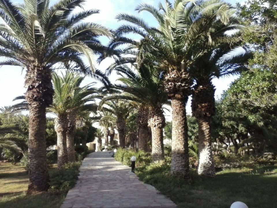 Allee Lyttos Beach Hotel