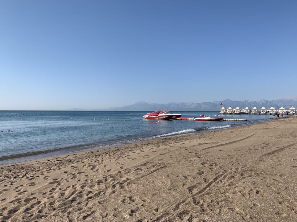 Strand Delphin BE Grand