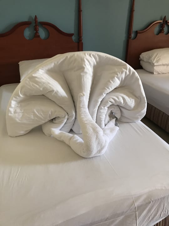 Zimmer Titanic Beach Spa & Aqua Park