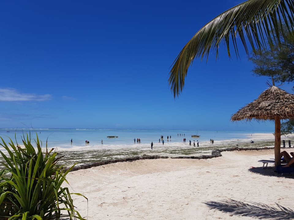 Strand TUI Blue Bahari Zanzibar