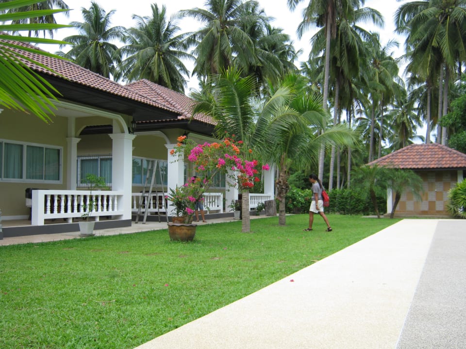 Garten mit Bungalows Palm Gardens Resort