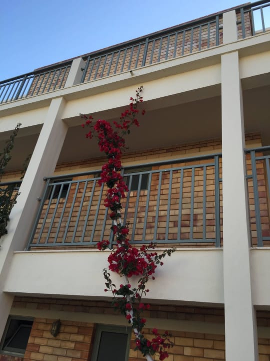 Blumen Bella Beach Hotel