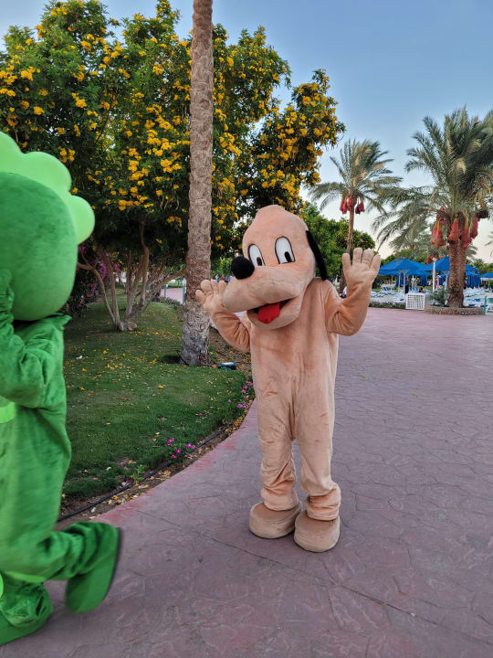 Außenansicht Desert Rose