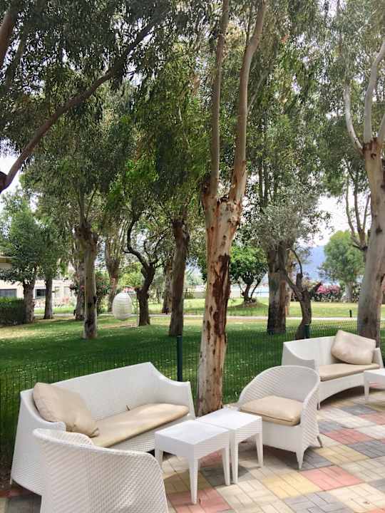 Gartenanlage Asteria Venus Didim