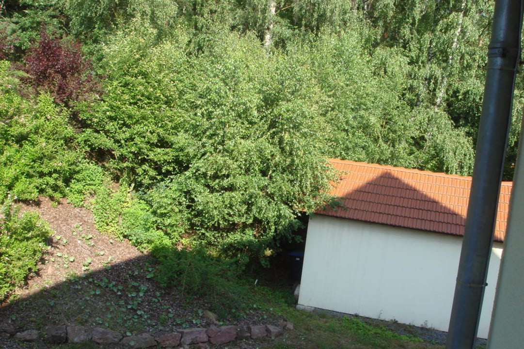 Zur Waldseite hin Jagdhof Klein-Heilig-Kreuz