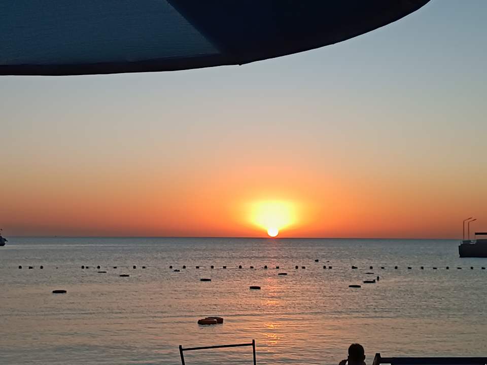 Ausblick Beach Albatros Resort