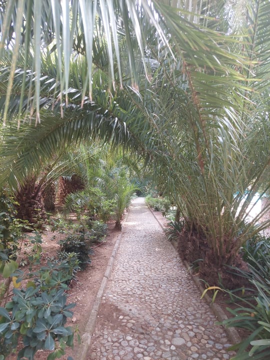 Gartenanlage Lago Garden