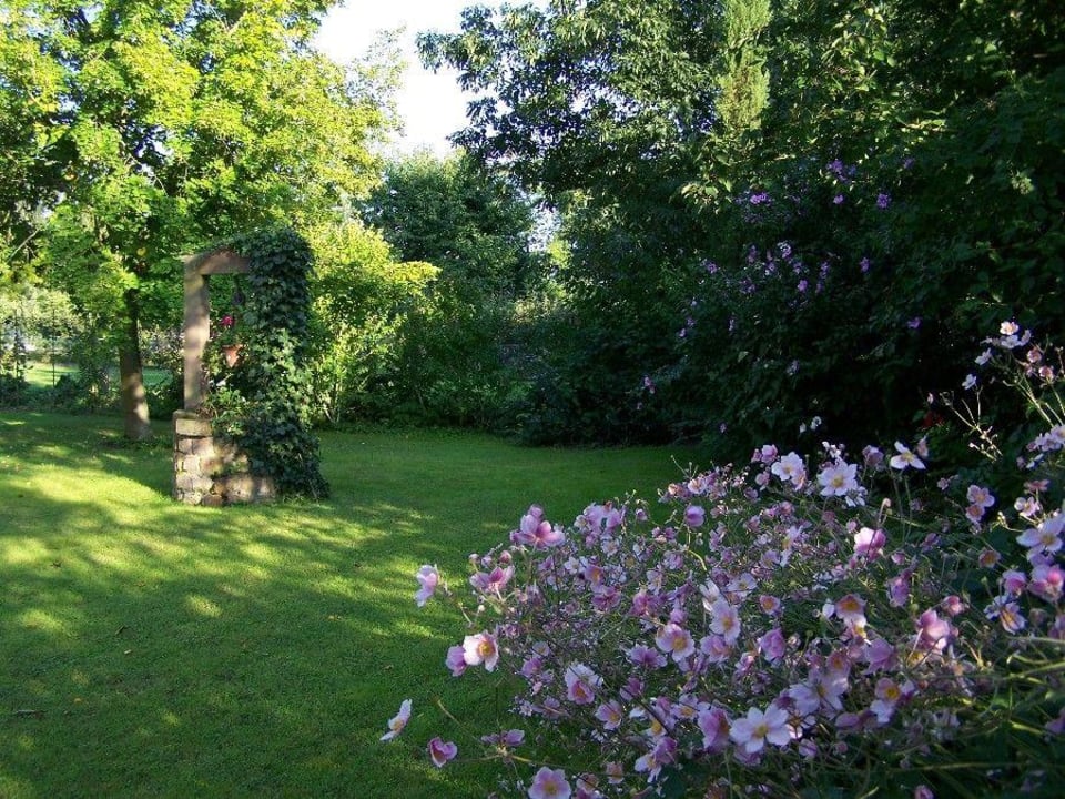 Aussicht/Ausblick Badische Landoase
