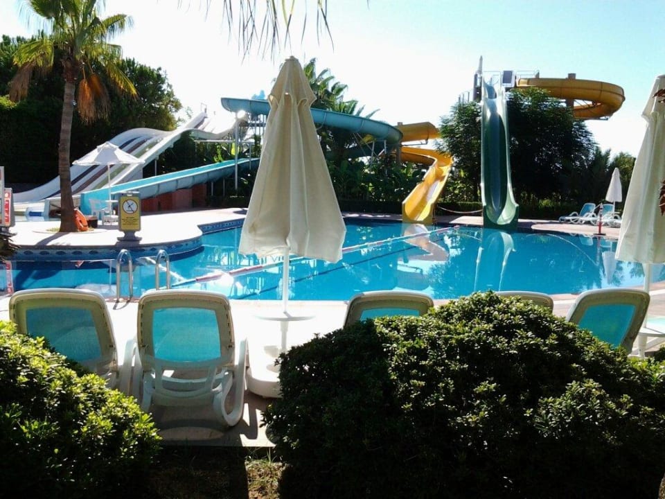 Great slides Paloma Oceana