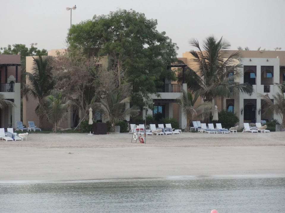 Der große Baum vor Zimmer 816 Rixos Al Mairid Ras Al Khaimah