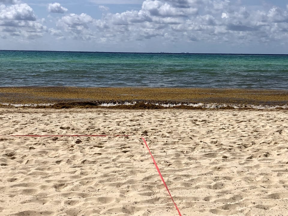 Strand Hotel Riu Palace Riviera Maya