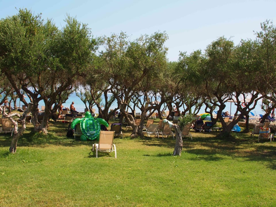 Leżaki w ogrodzie Atlantica Eleon Grand Resort, Tragaki