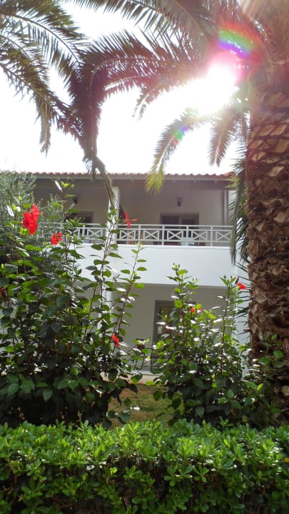 Blick von der Terrasse Annabelle Beach Resort