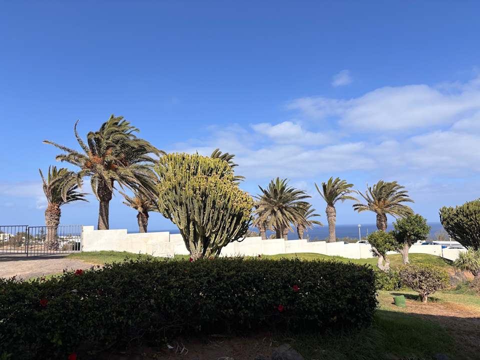 Ausblick allsun App.-Hotel Esquinzo Beach