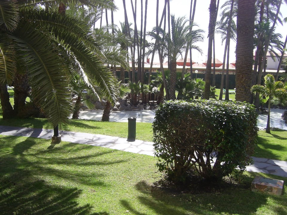 Blick vom Zimmer Hotel Riu Palace Oasis