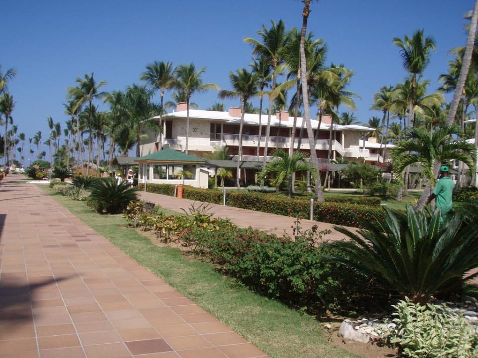 Hauptallee Grand Sirenis Punta Cana Resort & Aquagames