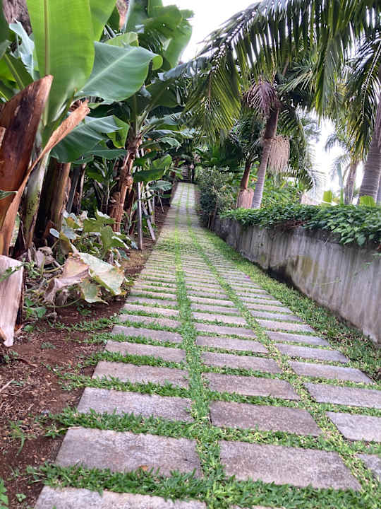 Gartenanlage Saccharum