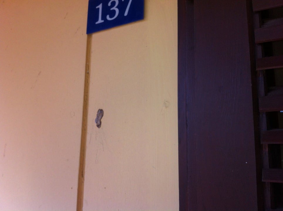 Kaugummies auf Fassade Apartments Kanegra Plava Laguna