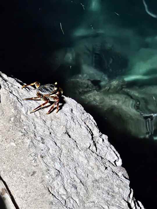 Sonstiges Imperial Shams Abu Soma