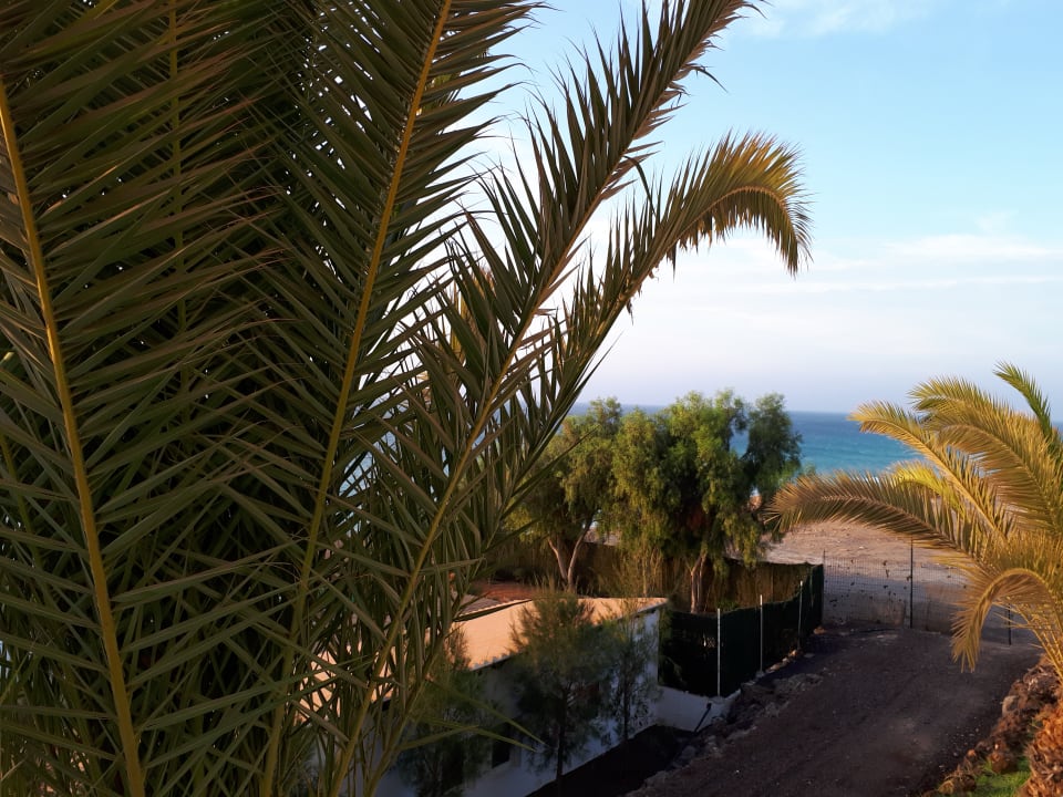 Ausblick TUI MAGIC LIFE Fuerteventura