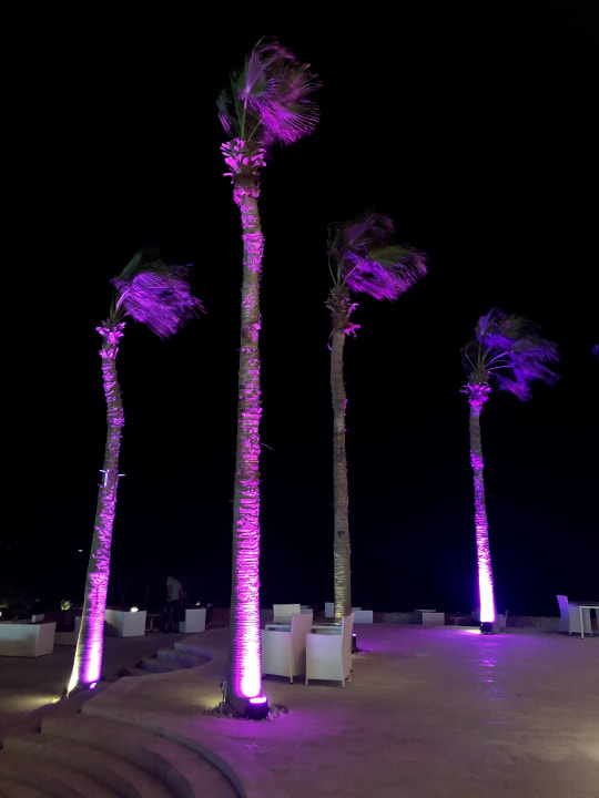 Sonstiges Pickalbatros Citadel Resort