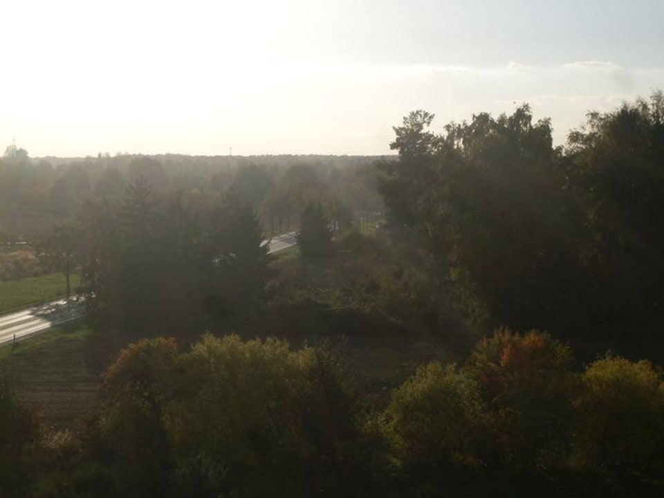 Blick auf die Langener Straße Holiday Inn Express Frankfurt - Airport
