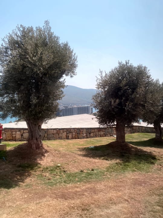 Außenansicht La Blanche Island Bodrum