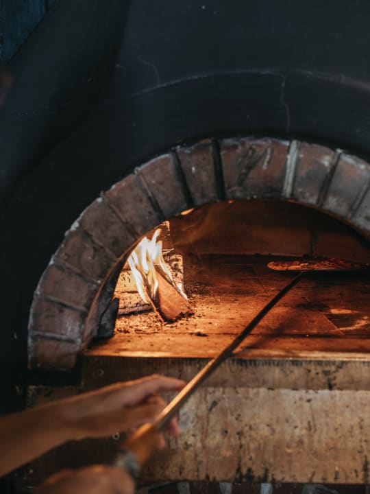 Gastro Alpina Alpendorf