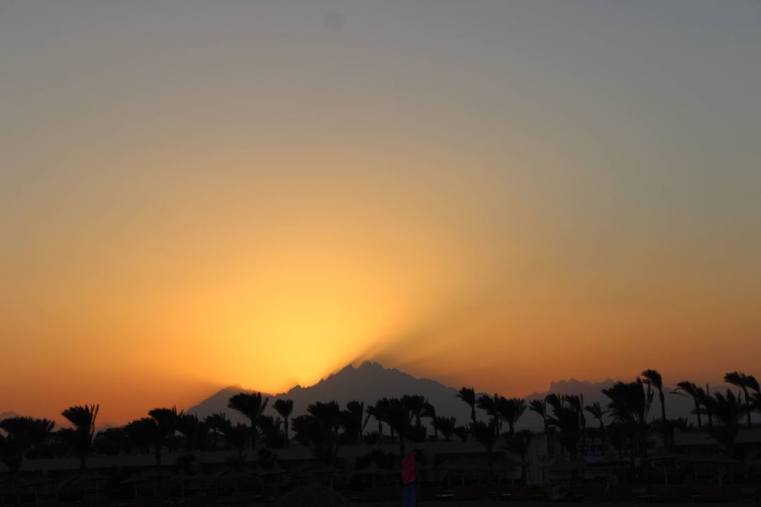 Закат Desert Rose