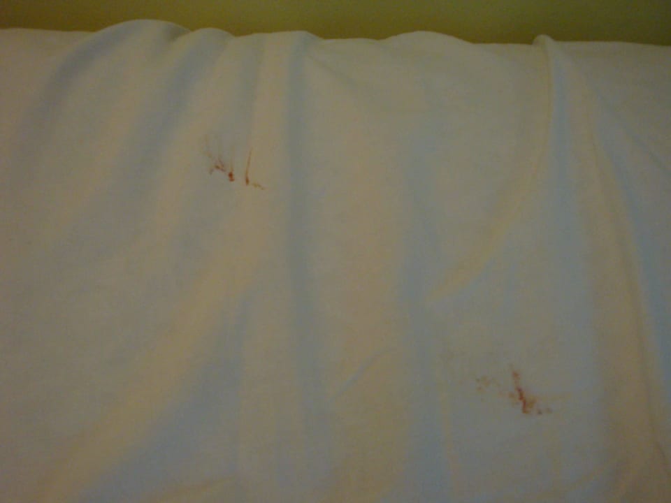 Blutflecken von der Verletzung an der Feder! Residenza Panorama