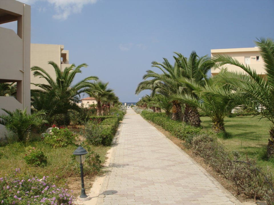 Durch den Garten direkt zum Strand Delfina Tropic Beach