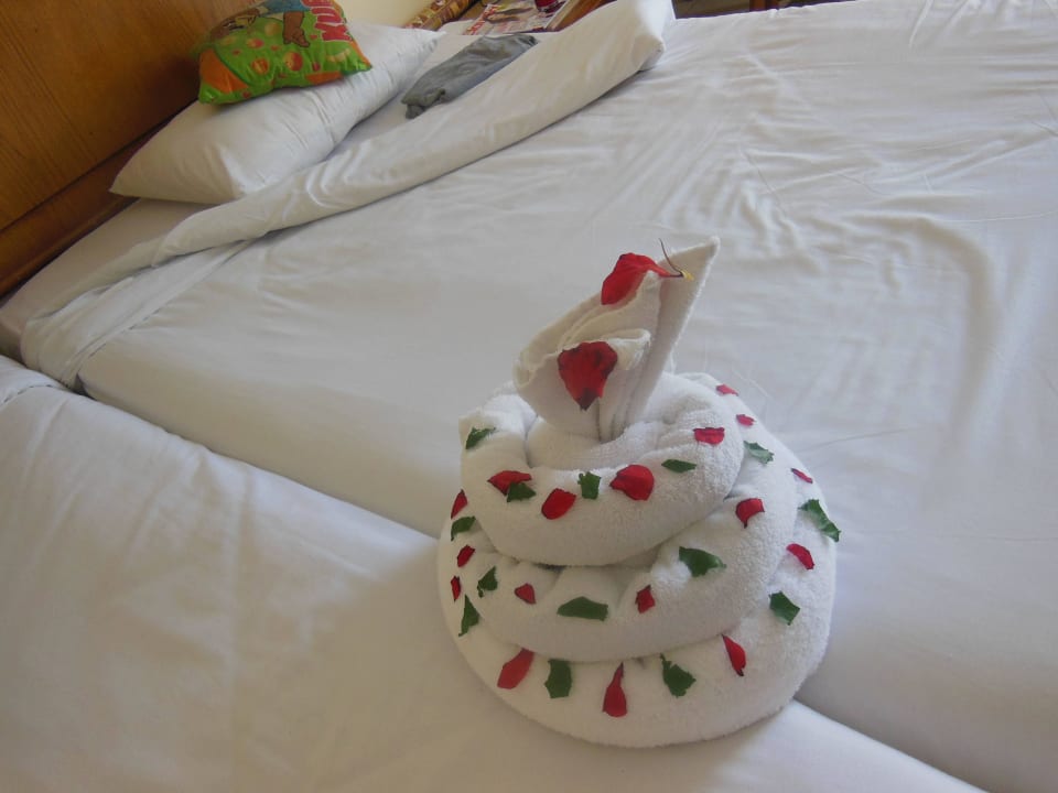 ? :-) Regency Plaza Aqua Park & Spa