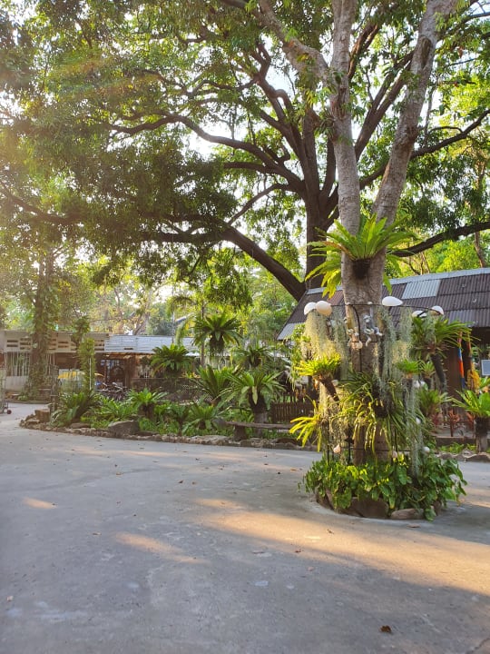 Gartenanlage Sai Kaew Beach Resort