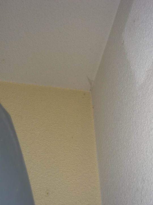 Toiles d'araignées B&B Hôtel Marne-la-Vallée