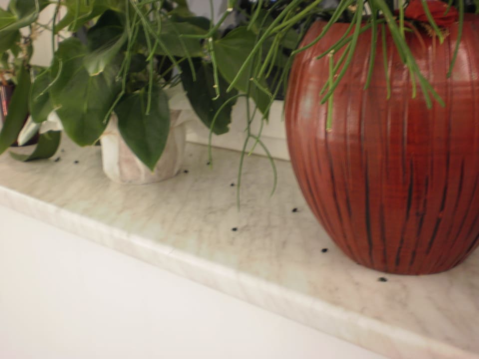 Fensterbank im Stiegenhaus Hotel Kaiserrast