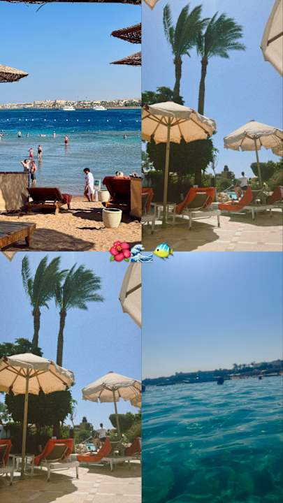 Strand Grand Waterworld Makadi & Family Star Makadi