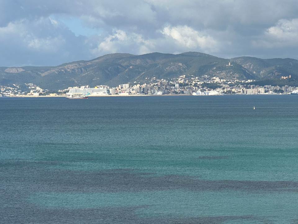 Zimmer AluaSoul Palma