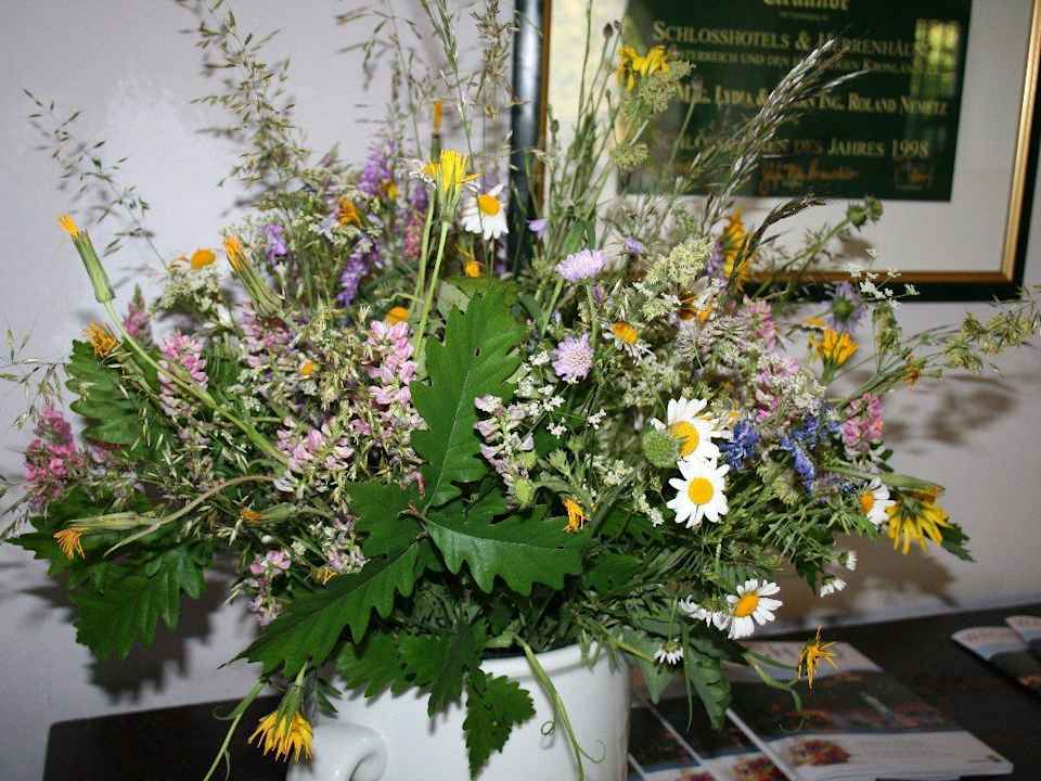 Foyer und Rezeption Hotel Burg Oberranna