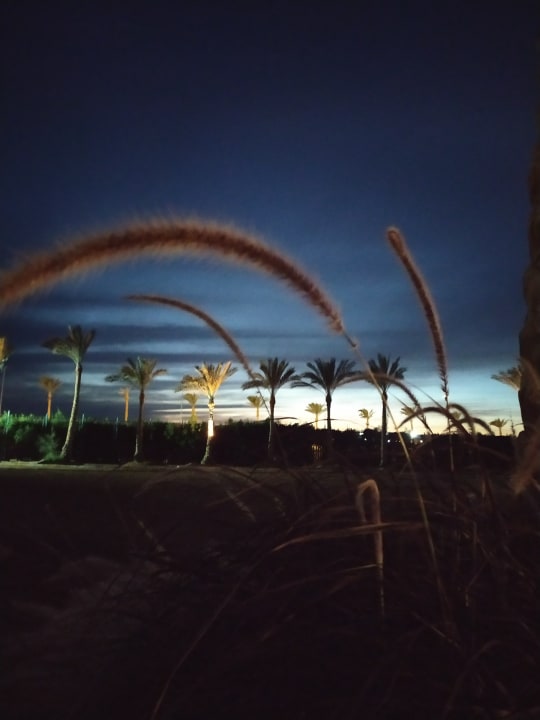 Ausblick Steigenberger Coraya Beach - Adults only