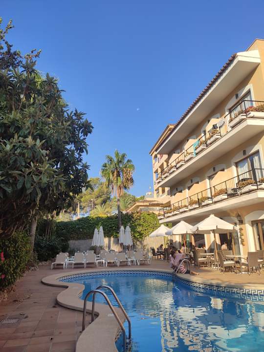 Pool Hostal Villa Rosa