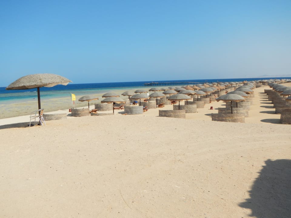 Ausreichend Schirme und Liegen für alle! Hotel Gorgonia Beach Resort