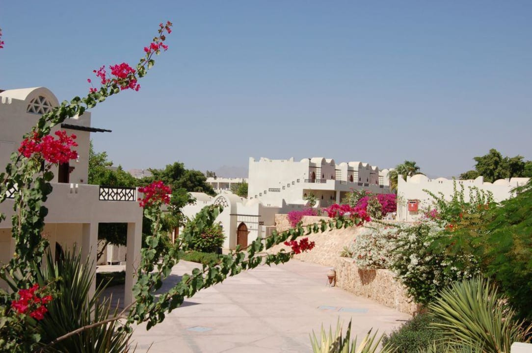 Gepflegte Anlage Reef Oasis Beach Resort