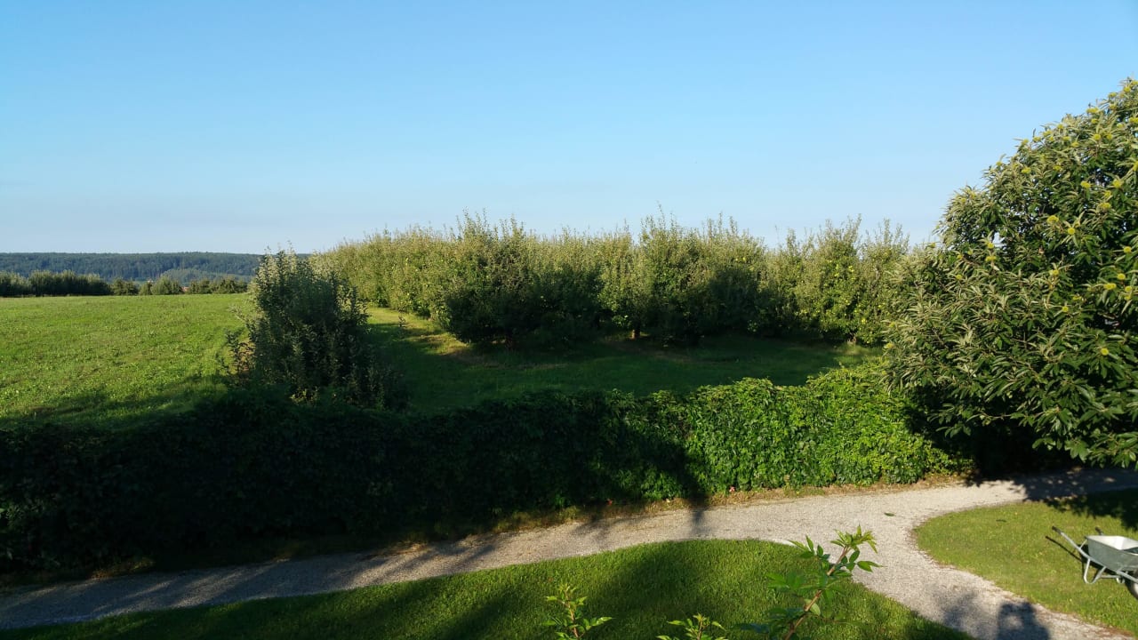 Gegend Hotel & Spa Der Steirerhof Bad Waltersdorf