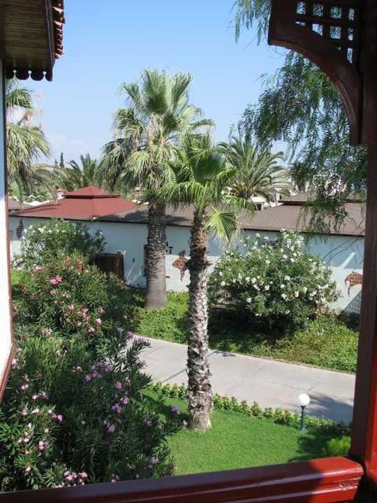 Blick vom Zimmer Ali Bey Club